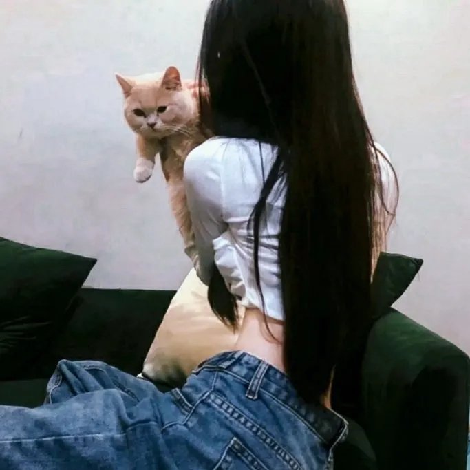 画上结语