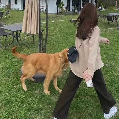 名侦探学院 彩蛋版
